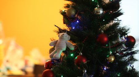 Familie Bär und die Sache mit dem Weihnachtsbaum