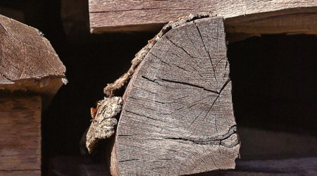 Hochzeitsgeldgeschenk_verpackt_in_Holzscheiter